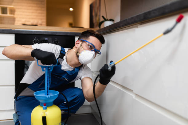 Best Affordable Pest Control Services  in Starkville, MS